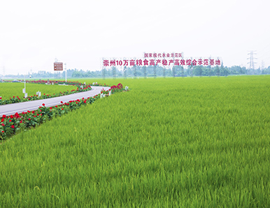 ����10��Ķ�����ۺϸ��¹�����Ŀ